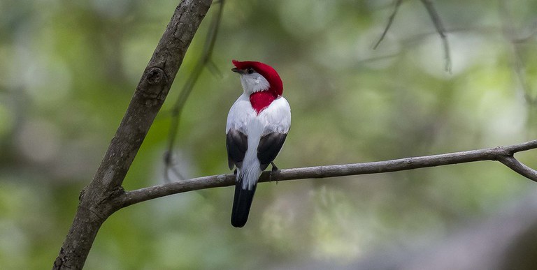 AcervoMMA copiar.jpg