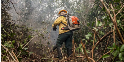 Design sem nome (30).png