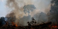 Governo federal inicia campanha de prevenção e combate aos incêndios criminosos na Amazônia Legal