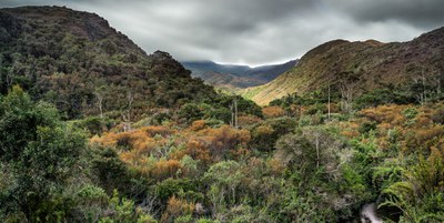 site - Biodiversidade.jpg