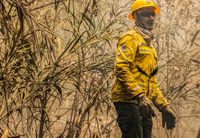 Governo federal realiza alinhamento para discutir medidas de prevenção e combate a incêndios florestais