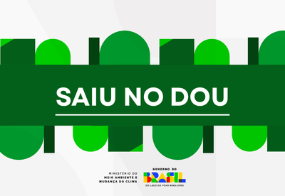 CAPAS SITE MMA (1).png