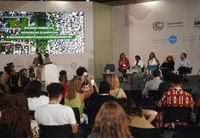 Justiça climática e combate ao racismo ambiental são destaques em painel de alto nível na COP30