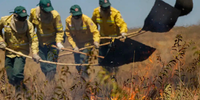 Lei do Manejo Integrado do Fogo completa um ano com avanços na conservação de florestas