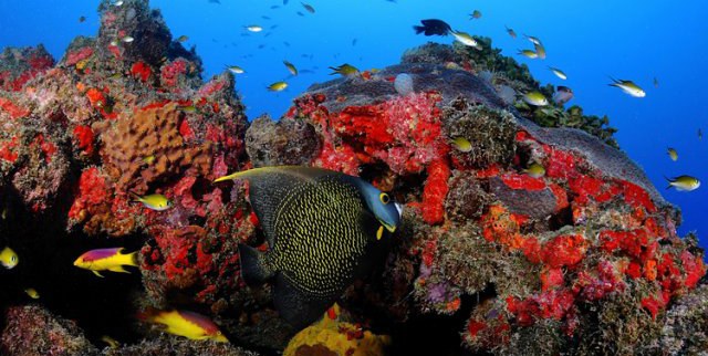 Parna Fernando de Noronha3 copiar.jpg