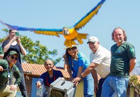 Marina Silva e Janja participam da soltura de 42 animais reabilitados no Cerrado