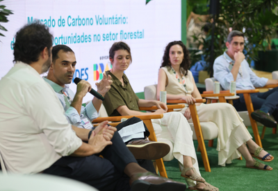 MMA CORTE_CARBONO.png