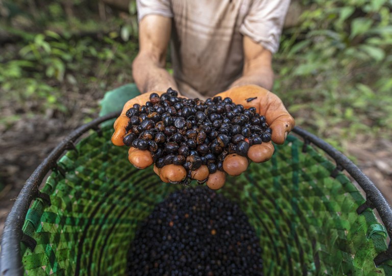 PNUD_AM_Coari_Rural_002-min-scaled (1).jpg