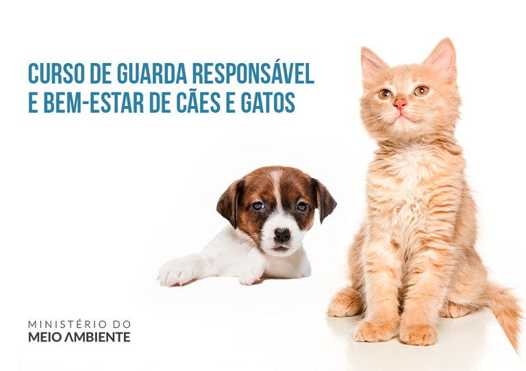 ESTAO-ABERTAS-AS-INSCRICOES-PARA-O-CURSO-SOBRE-GUARDA-RESPONSAVEL-DE-CAES-E-GATOS-BANNER-SITE-1100x777 (3).jpg