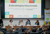 MMA anuncia estratégia nacional para eliminar exposição e contaminação por chumbo até 2030