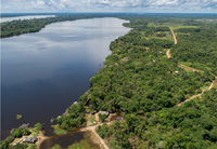 MMA avança na revisão de indicadores do sistema de REDD+ voltados à redução de emissões por desmatamento