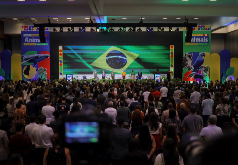 MMA CORTE_ANIMAIS_3.png