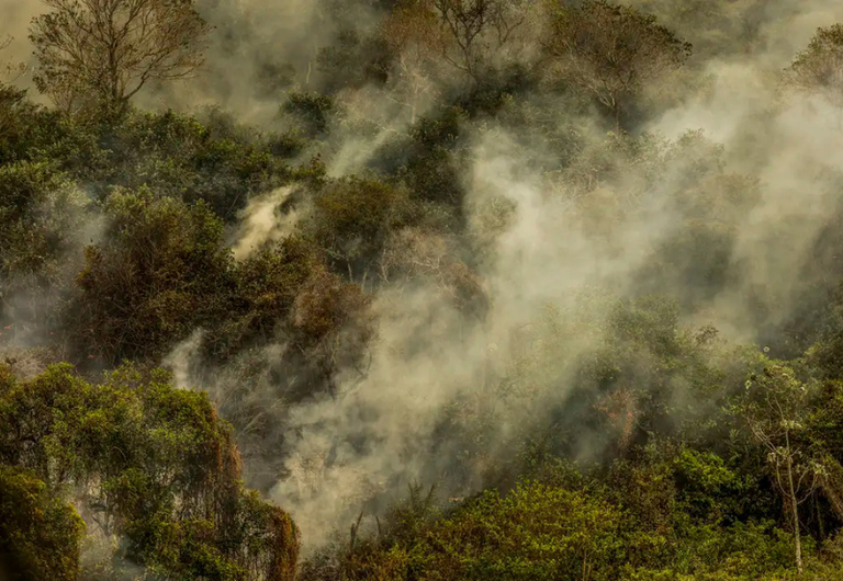 Incendios.png