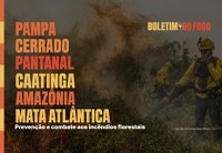 MMA divulga Boletim do Fogo com dados e ações de prevenção e combate aos incêndios florestais