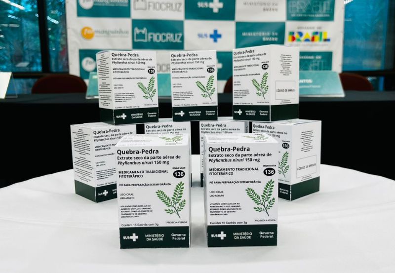 Saberes tradicionais e científicos se uniram na produção do primeiro medicamento com a planta quebra-pedra