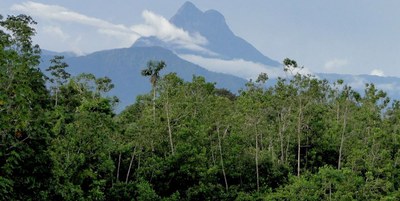 pico_da_neblina (1).jpg