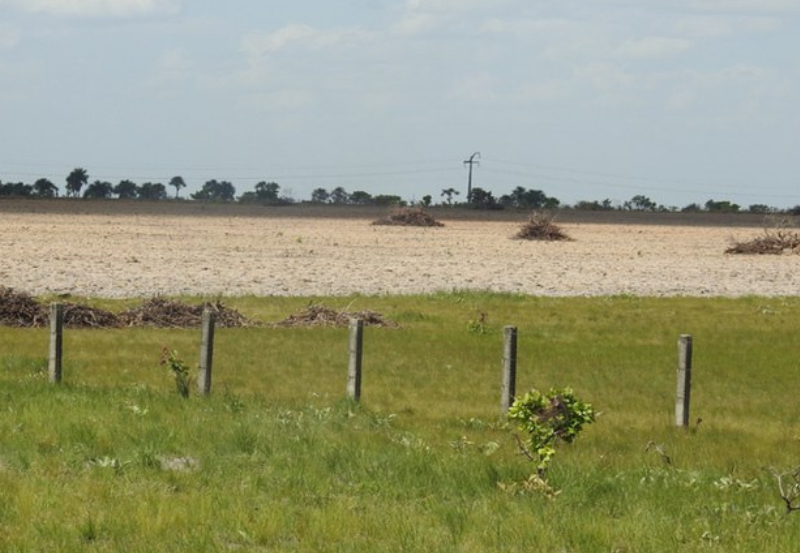 Alertas indicam indícios de alteração da cobertura vegetal, seja por desmatamento, mineração, queimadas ou outras atividades irregulares