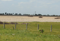 MMA e Inpe lançam sistema Deter Não Floresta para monitoramento diário de todo o bioma Amazônia