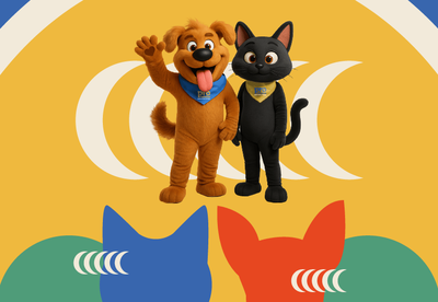 0 - CAPA 800x553 (1).png