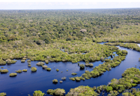MMA fortalece prevenção e controle do desmatamento com escritórios ambientais em 70 cidades da Amazônia