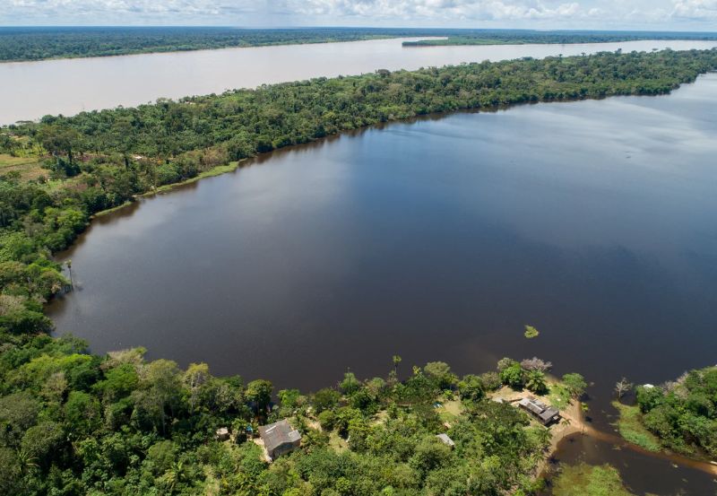Grupo de Trabalho Técnico da CONAREDD+ debateu o credenciamento de metodologias de carbono florestal e alinhamento técnico ao Sistema Brasileiro de Comércio de Emissões