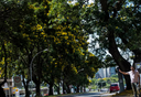 MMA_TAMANHO SITE (20).png