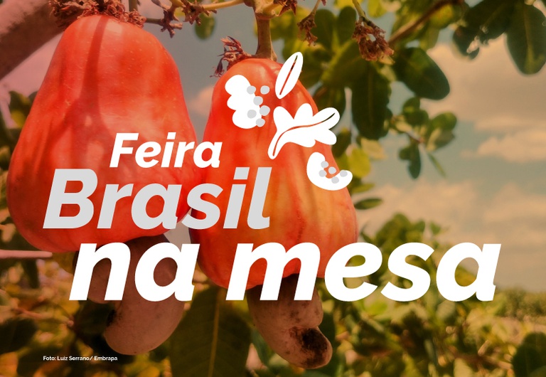 Feira Brasil na Mesa