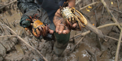 Design sem nome (45).png