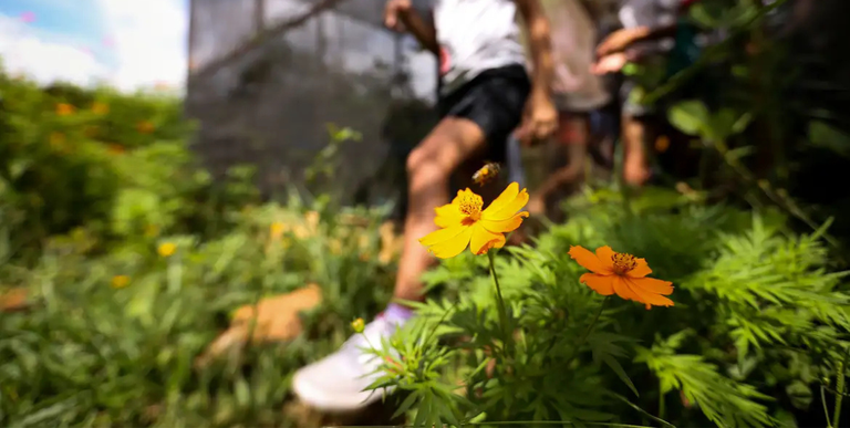 Design sem nome (31).png