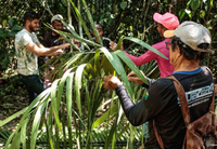 MMA, MinC, ICMBio e Iphan firmam acordo para integrar cultura e meio ambiente em territórios tradicionais