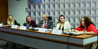 MMA participa de audiência pública no Senado que debate a criação de um estatuto para animais domésticos
