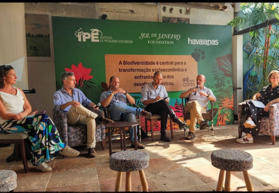 MMA_TAMANHO SITE (6).png