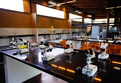 NOVO TAMANHO_SITE (13).png