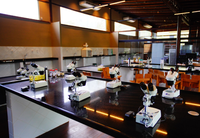 MMA promove encontros presenciais para discutir o Plano Nacional de Desenvolvimento da Bioeconomia