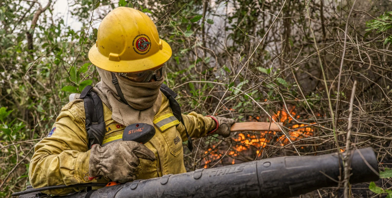  MMA promove oficina com governos do MT e MS para construir pacto de prevenção e controle dos incêndios no Pantanal.PNG