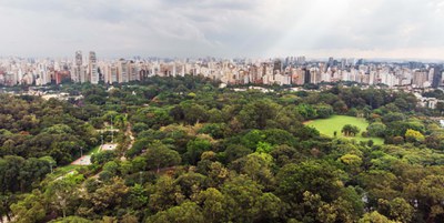 Parque_Ibirapuera.jpg
