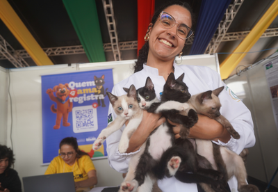 MMA CORTE_GATINHO.png