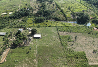 MMA promove seminário sobre resolução do Conama que padroniza autorizações de supressão de vegetação