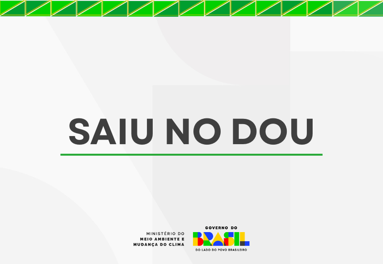 CAPAS SITE MMA (2).png