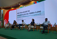 Na COP30, MMA lidera diálogo sobre Neutralidade da Degradação da Terra e integração com as Convenções do Rio