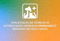 Na Semana Nacional dos Animais, MMA lança curso de qualificação para veterinários em esterilização minimamente invasiva de cães e gatos