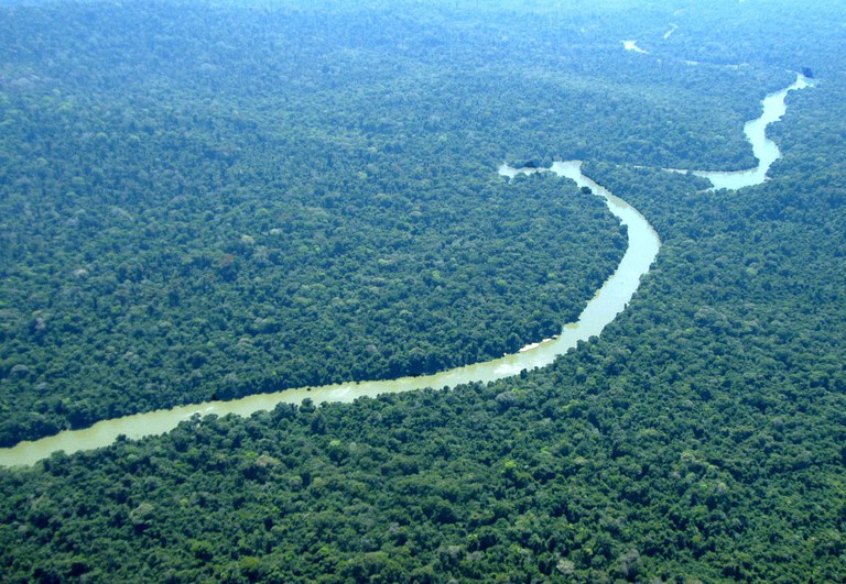 Flona _ jamaxim_AM_Final.jpg