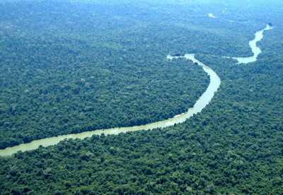 Flona _ jamaxim_AM_Final.jpg