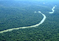 Fundo Florestas Tropicais para Sempre (TFFF) propõe novo modelo de financiamento para conservação