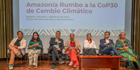 Organizações da América do Sul, Central e Caribe debatem compromisso ético para frear emergência climática