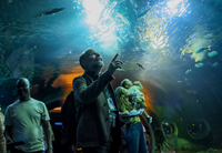 Participantes da COP15 visitam BioParque Pantanal, maior aquário de água doce do mundo