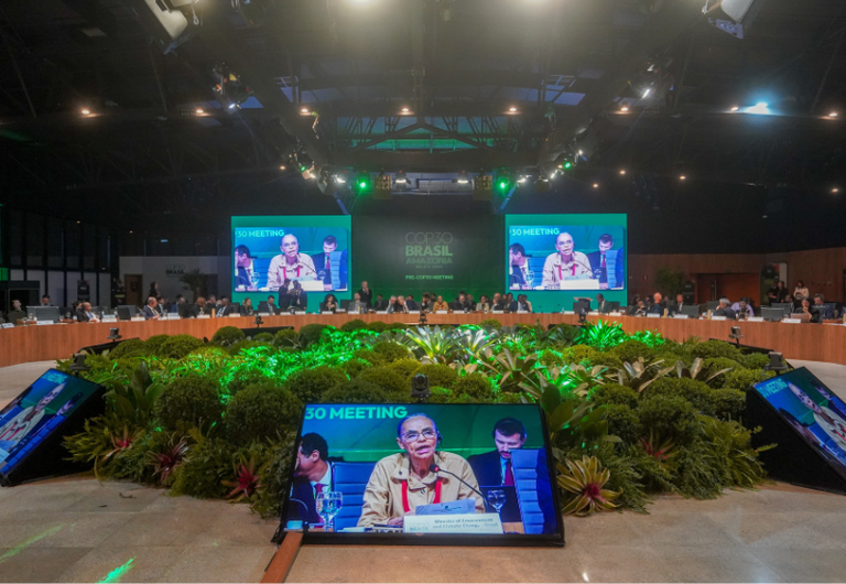 Novo corte home MMA.png