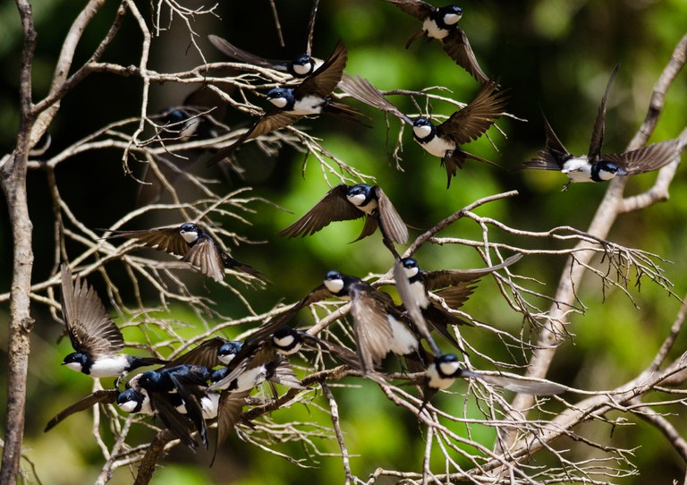 17026934998_812d645954_k (1).jpg