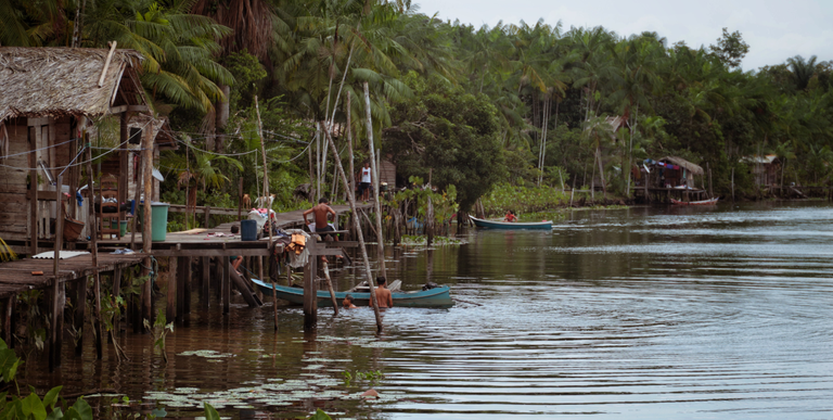 Programa Bolsa Verde beneficia mais de 50 mil famílias.png