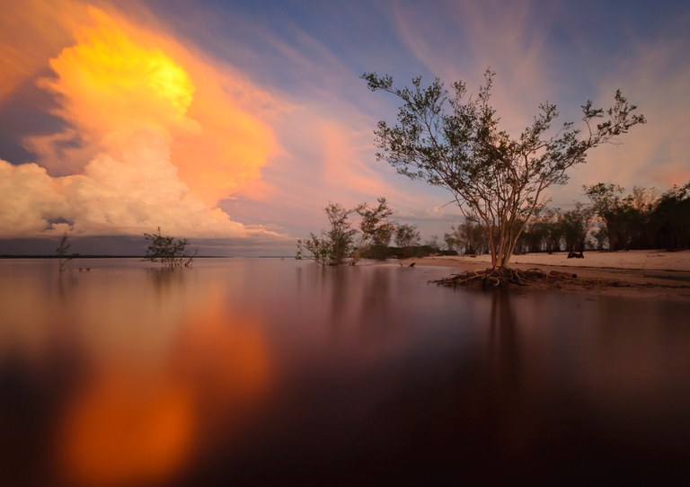 17213282721_fb4a6e2a24_o (1).jpg